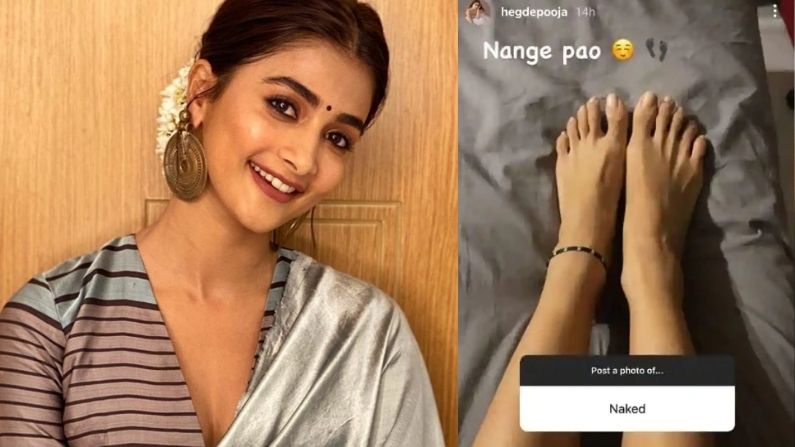 Fan asked for a naked photo, Pooja Hegde replied something like this