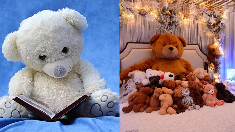 teddy day propose