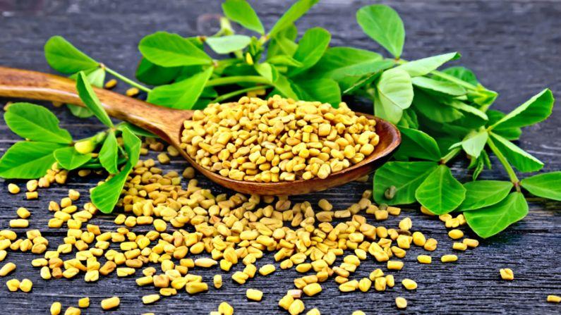 Weight loss Tips: જો તમારી પેટની ચરબી પણ વધી ગઈ છે તો મેથીના દાણા છે રામબાણ ઈલાજ