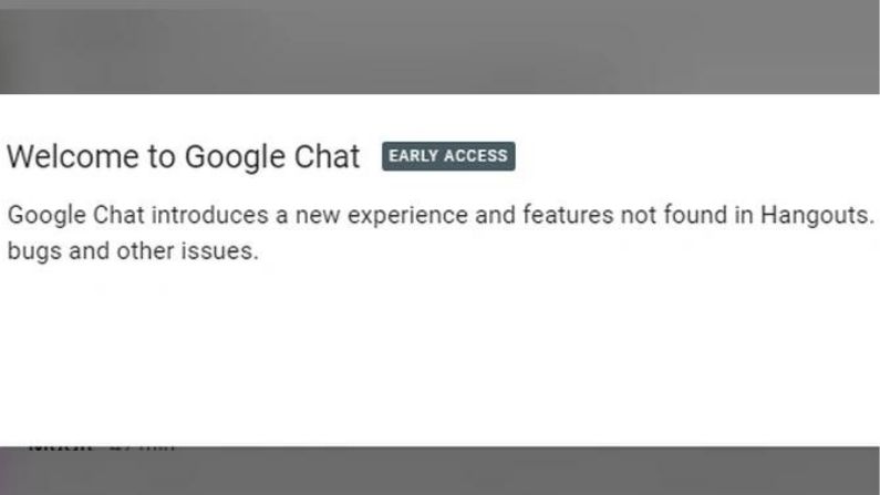 Google chat Early Access 