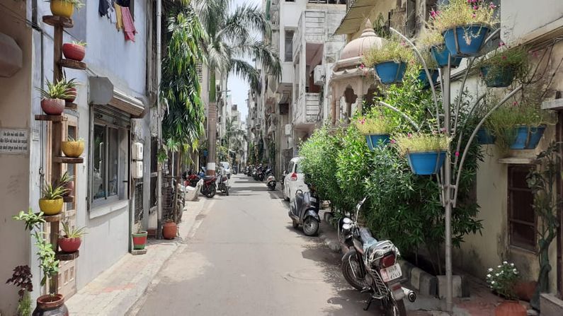   Green Street in Surat city : There are more than 200 trees between 40 houses 