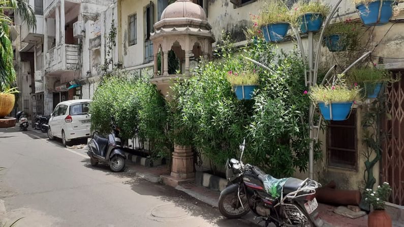 Green Street in Surat city : There are more than 200 trees between 40 houses
