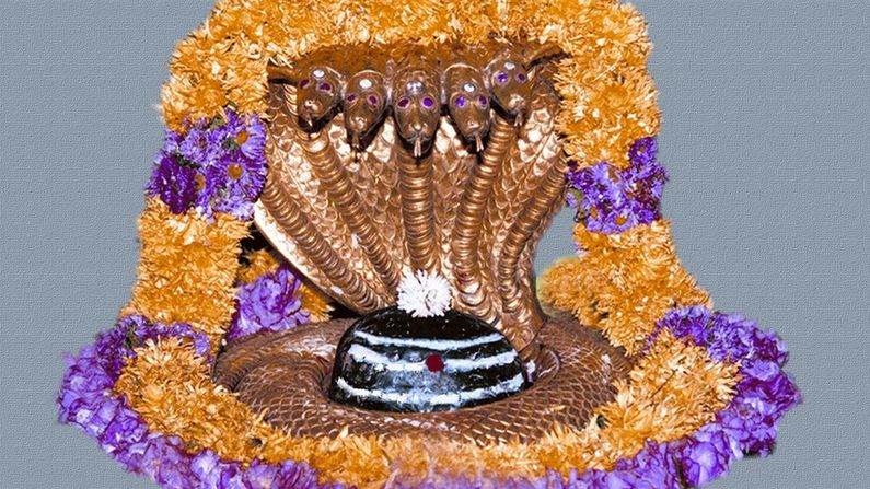 Know the glory of the liberator Mallikarjuna, here you will get the combined blessings of Shiva-Shakti
