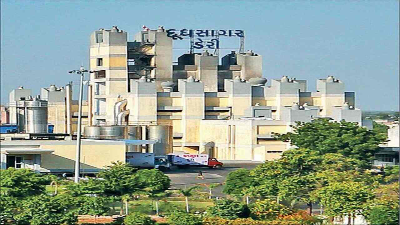 Mehsana દૂધસાગર ડેરીએ પશુપાલકોને આપી નવા વર્ષની ભેટ, ફેટના ભાવમાં