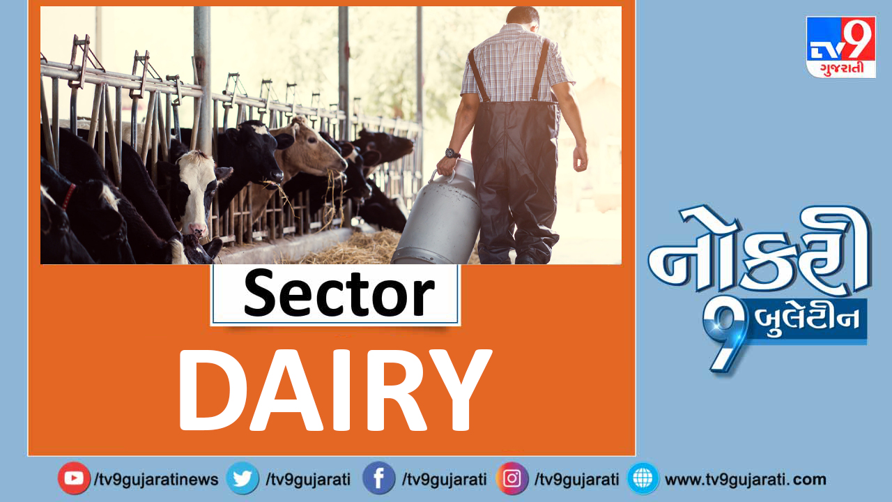 Naukri9 Video સ્નાતકો માટે ડેરી ક્ષેત્રમાં નોકરીની ઉત્તમ તક, મળશે મહિને 40,000થી વધુ પગાર