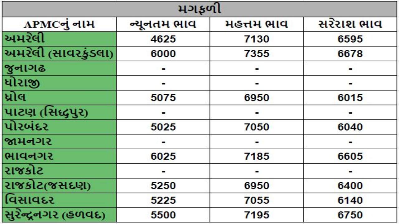 મગફળીના તા.03-01-2024ના રોજ APMCના ભાવ રૂ.4625 થી 7355 રહ્યા.