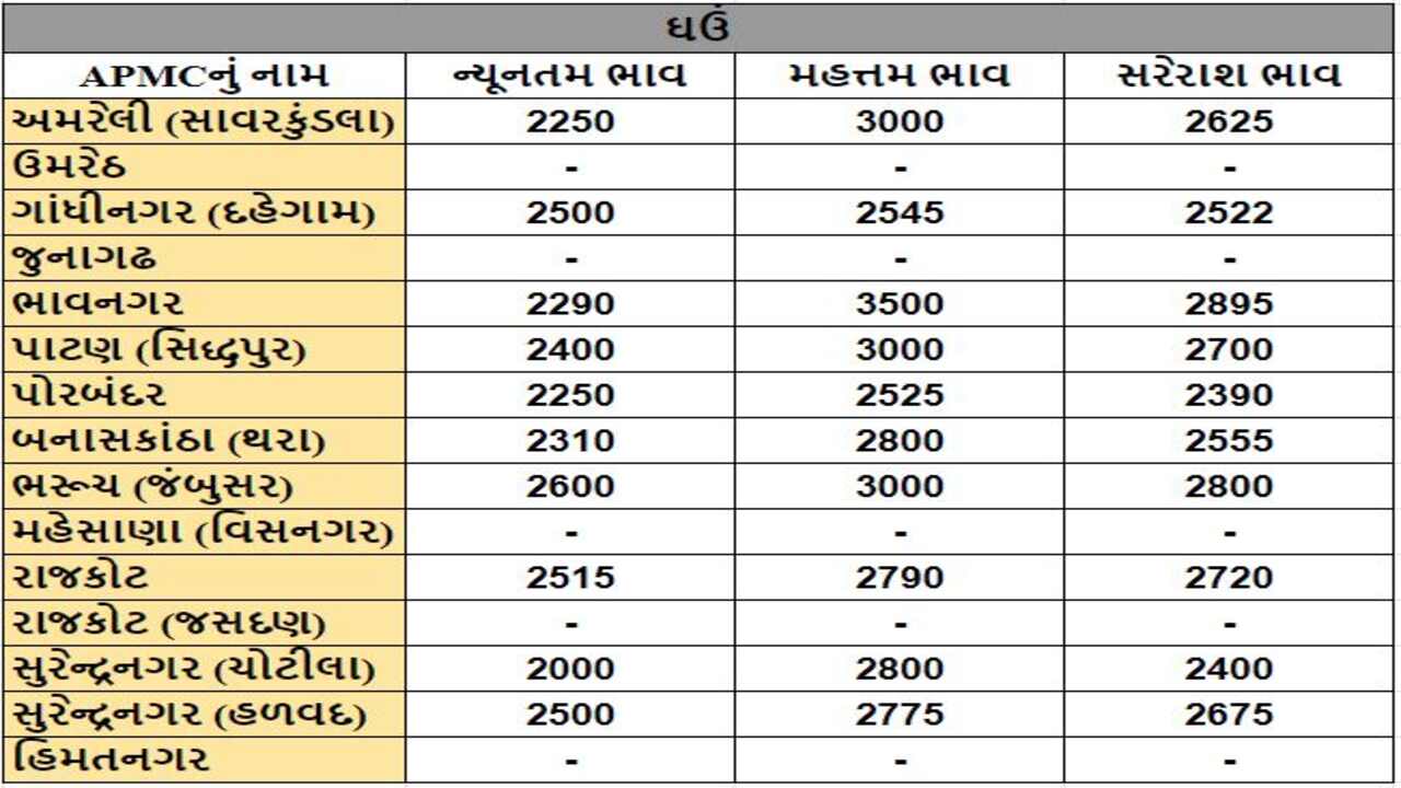 ઘઉંના તા.03-01-2024ના રોજ APMCના ભાવ રૂ.2000 થી 3500 રહ્યા.