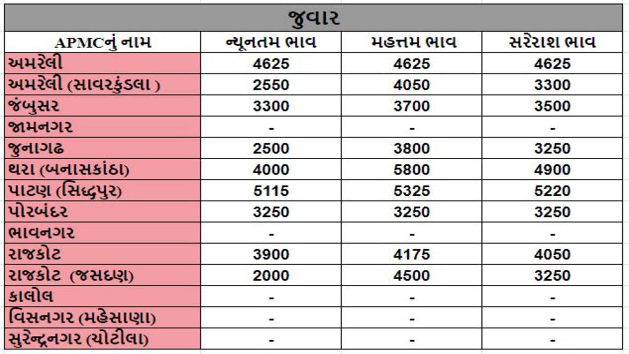 જુવારના તા.28-02-2024ના રોજ APMCના ભાવ રૂ.2000 થી 5800 રહ્યા.