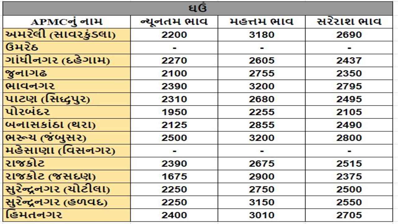 ઘઉંના તા.17-03-2024ના રોજ APMCના ભાવ રૂ.1670 થી 3200 રહ્યા.