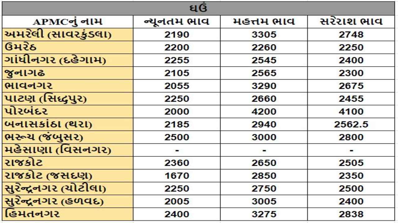 ઘઉંના તા.19-03-2024ના રોજ APMCના ભાવ રૂ.1670 થી 3305 રહ્યા.