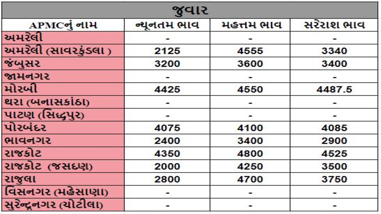 જુવારના તા.21-03-2024ના રોજ APMCના ભાવ રૂ.2000 થી 4800 રહ્યા.