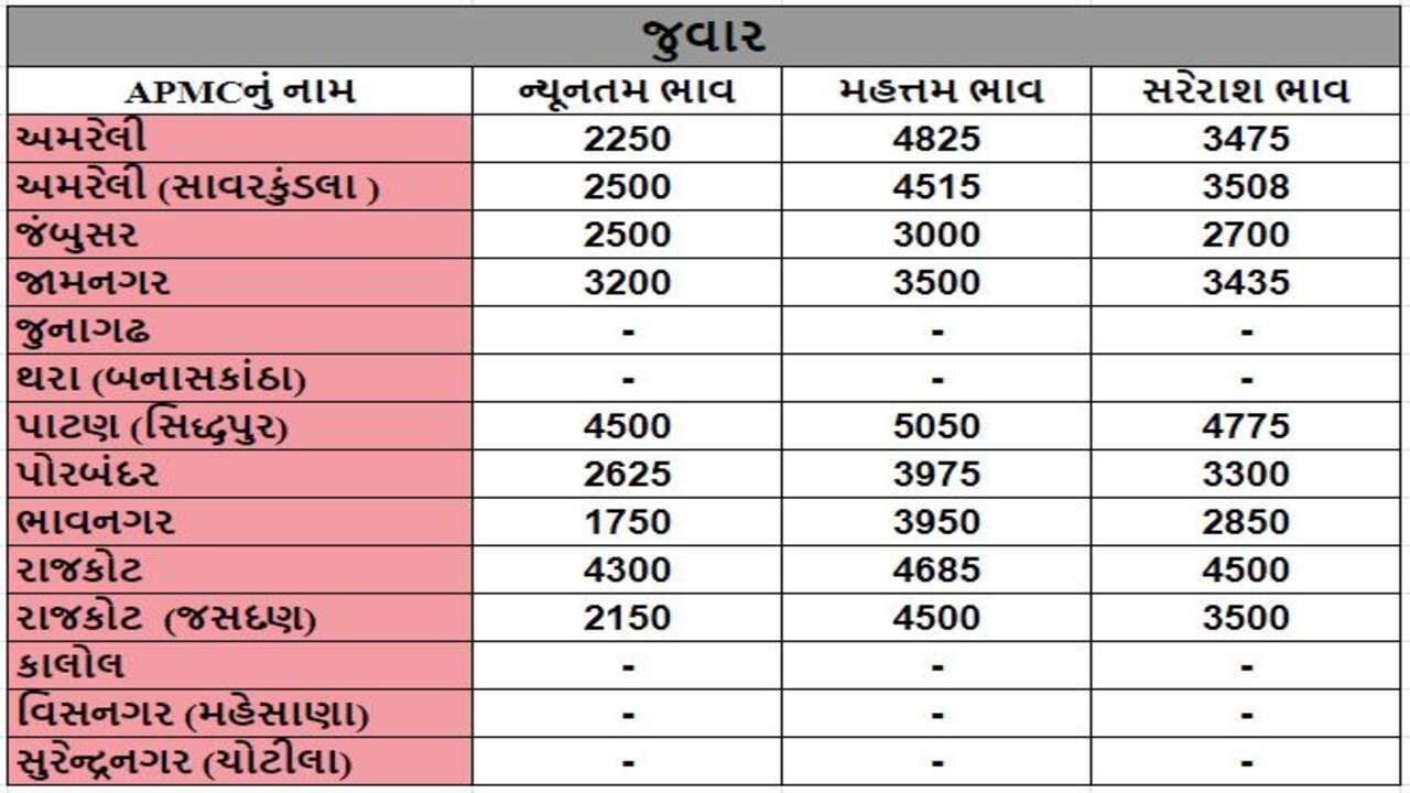 જુવારના તા.19-03-2024ના રોજ APMCના ભાવ રૂ.1750 થી 5050 રહ્યા.