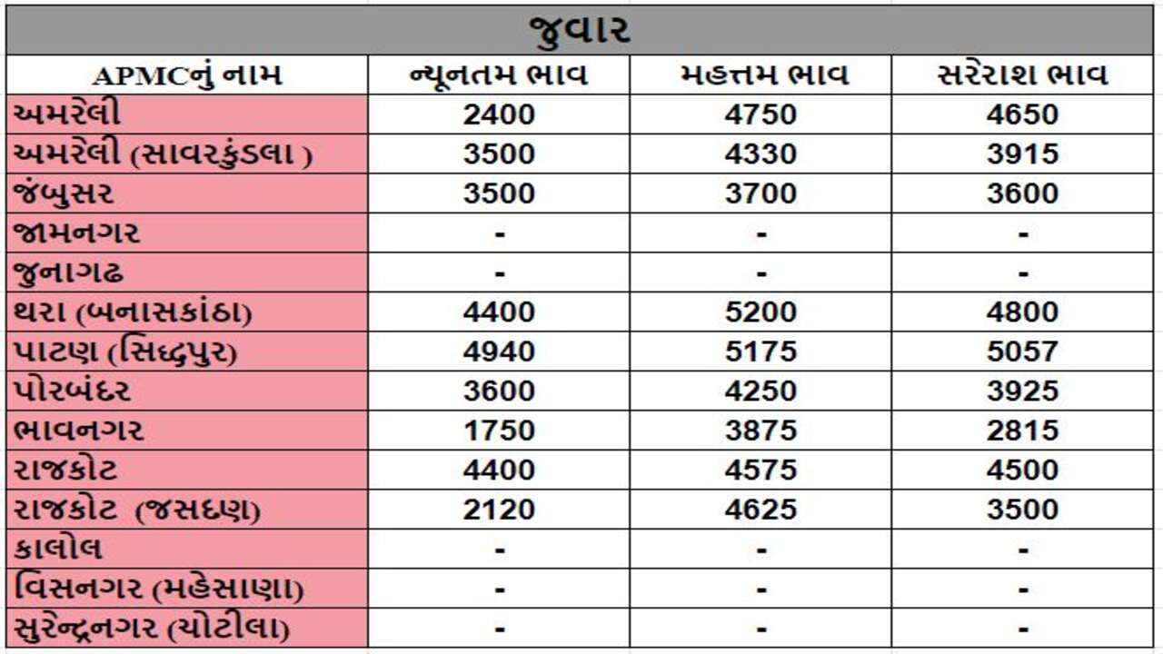 જુવારના તા.13-03-2024ના રોજ APMCના ભાવ રૂ.1750 થી 5200 રહ્યા.