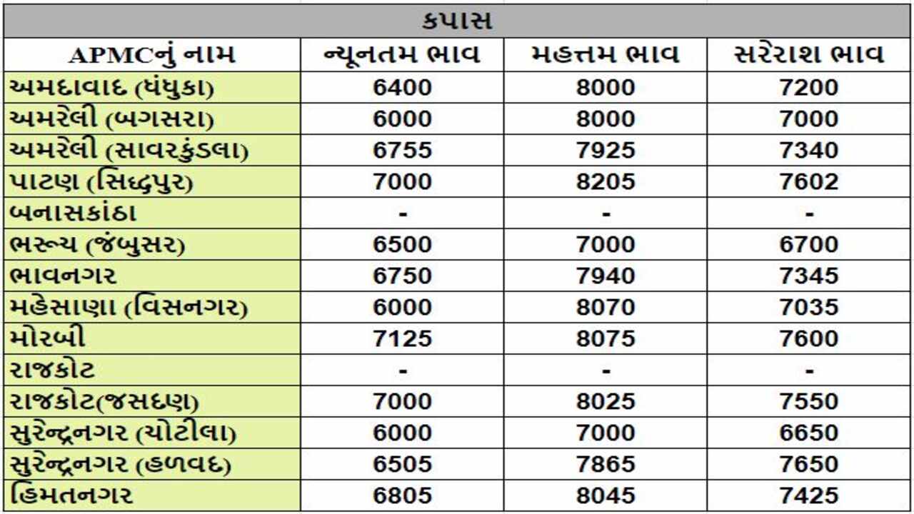 કપાસના તા.17-03-2024ના રોજ APMCના ભાવ રૂ.6000 થી 8205 રહ્યા.