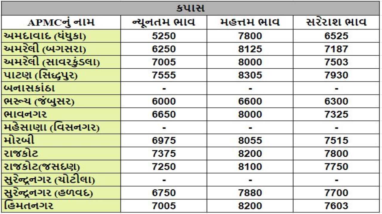 કપાસના તા.13-03-2024ના રોજ APMCના ભાવ રૂ.5250 થી 8305 રહ્યા.