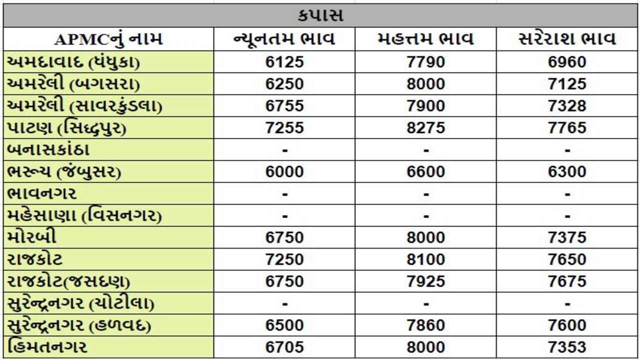 કપાસના તા.16-03-2024ના રોજ APMCના ભાવ રૂ.6000 થી 8275 રહ્યા.