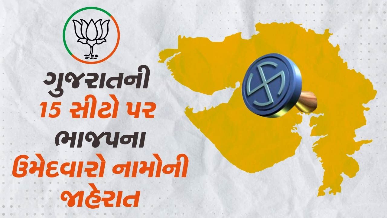 ગુજરાતમાંથી 15 ઉમેદવારોના નામ જાહેર કરવામાં આવ્યા છે. કેન્દ્રીય ગૃહમંત્રી અમિત શાહને ગાંધીનગરથી મેદાનમાં ઉતારવામાં આવ્યા છે.મનસુખ માંડવિયા પોરબંદરથી ચૂંટણી લડશે.અમદાવાદ પશ્ચિમથી દિનેશ મકવાણાને ટિકિટ આપવામાં આવી છે. સી આર પાટીલ પણ નવસારી થી ચૂંટણી લડશે. 