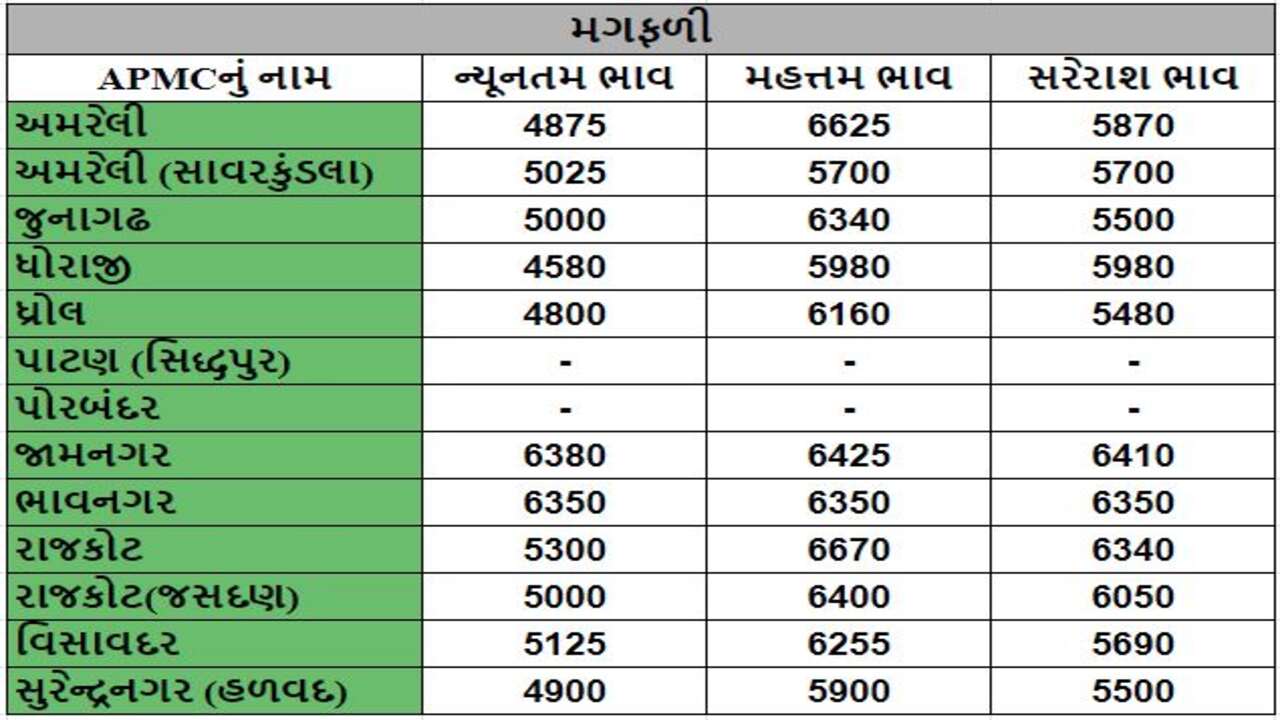 મગફળીના તા.17-03-2024ના રોજ APMCના ભાવ રૂ.4580 થી 6670 રહ્યા.