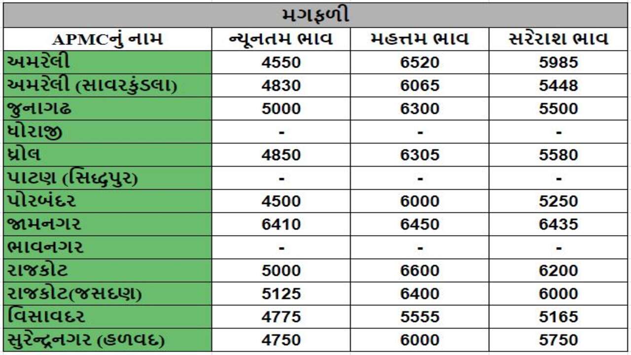 મગફળીના તા.19-03-2024ના રોજ APMCના ભાવ રૂ.4500 થી 6600 રહ્યા.