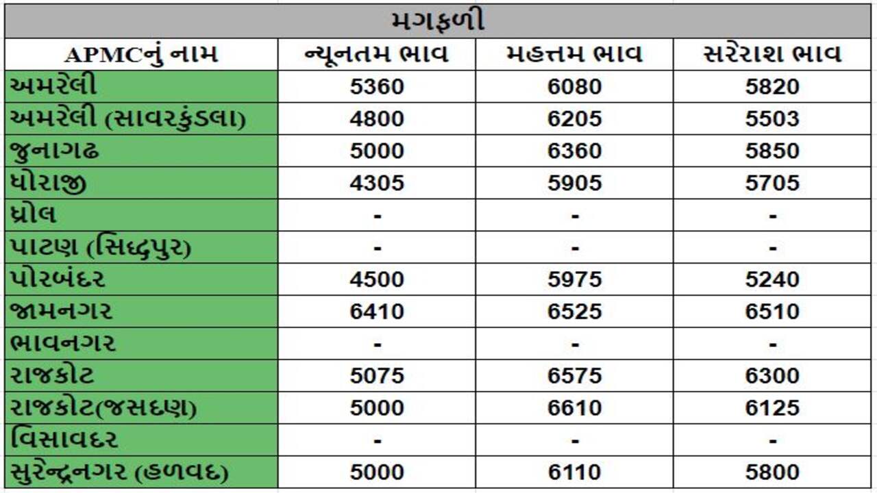 મગફળીના તા.13-03-2024ના રોજ APMCના ભાવ રૂ.4305 થી 6610 રહ્યા.