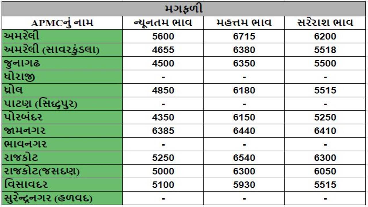 અમરેલી APMCમાં મગફળીના મહત્તમ ભાવ રૂપિયા 6715 રહ્યા, જાણો જુદા-જુદા પાકના ભાવ