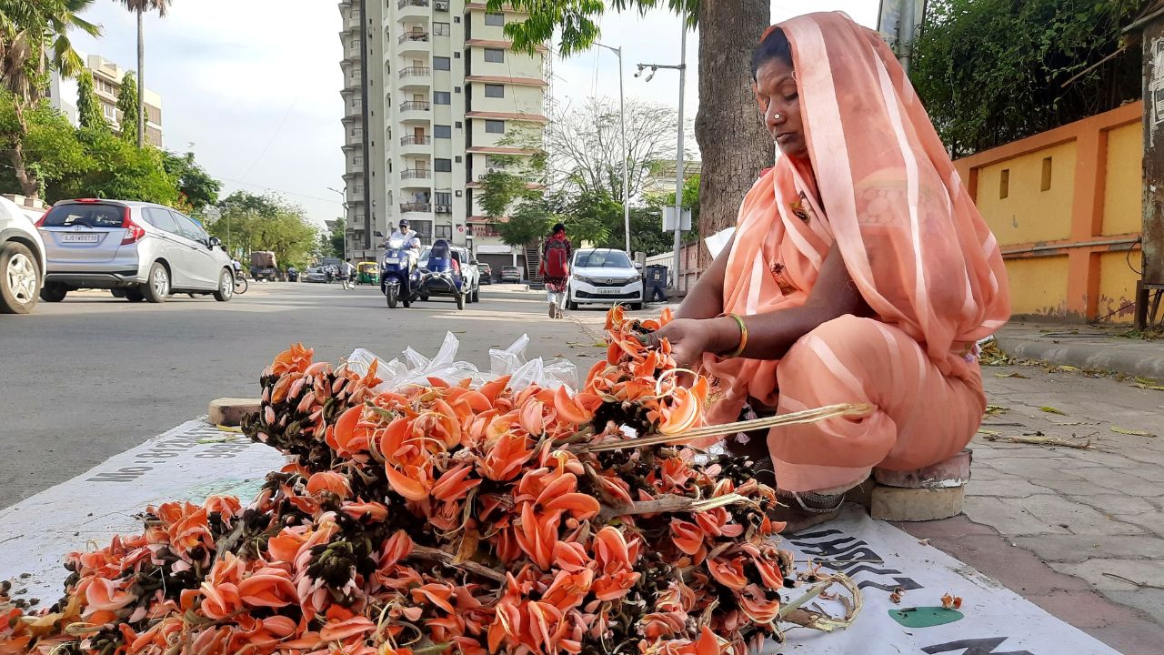 ગોપીઓએ યશોદા માતાને ફરિયાદ કરતા માતાએ કેસૂડાના ફૂલોના પાવડર કૃષ્ણના મુખ ઉપર લગાવતા ચહેરો બ્રાઇટ નારંગી રંગનો થઈ ગયો હતો. ગામ લોકોએ કૃષ્ણને તેના આ દેખાવ માટે પૂછતા કૃષ્ણ ગર્વથી કહેતા કે આ મારી માતાએ આપેલી ભેટ છે. ત્યારથી કેસૂડાના ફૂલો ઉજવણીમાં મહત્વના અંગ બની ગયા છે.