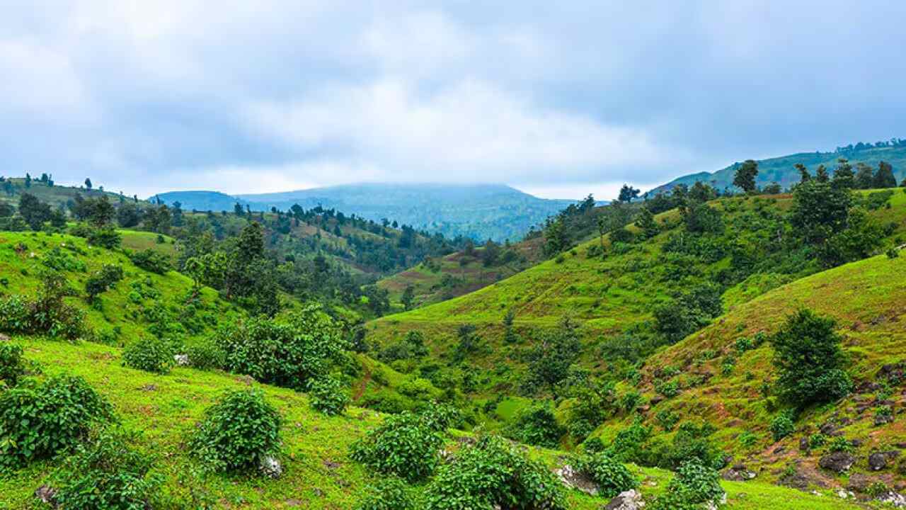 સાપુતારા દેશના મોટા શહેરો અને અન્ય ઘણા શહેરો સાથે સારી રીતે જોડાયેલ છે. વ્યક્તિ પોતાના બજેટ મુજબ ખાનગી અથવા જાહેર બસ સેવા પસંદ કરી શકે છે. તમે રાજ્યના અન્ય ઘણા વિસ્તારોમાંથી બસ લઈ શકો છો.ખાનગી વાહન દ્વારા પણ સરળતાથી પહોંચી શકાય છે. અહીંના રસ્તા નયનરમ્ય નજરના દર્શન કરાવે છે