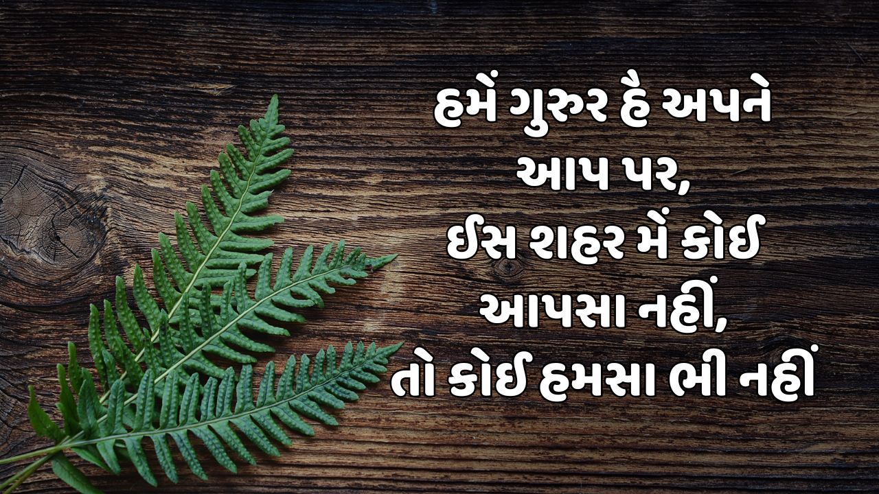 હમેં ગુરુર હૈ અપને આપ પર, ઈસ શહર મેં કોઈ આપસા નહીં,તો કોઈ હમસા ભી નહીં