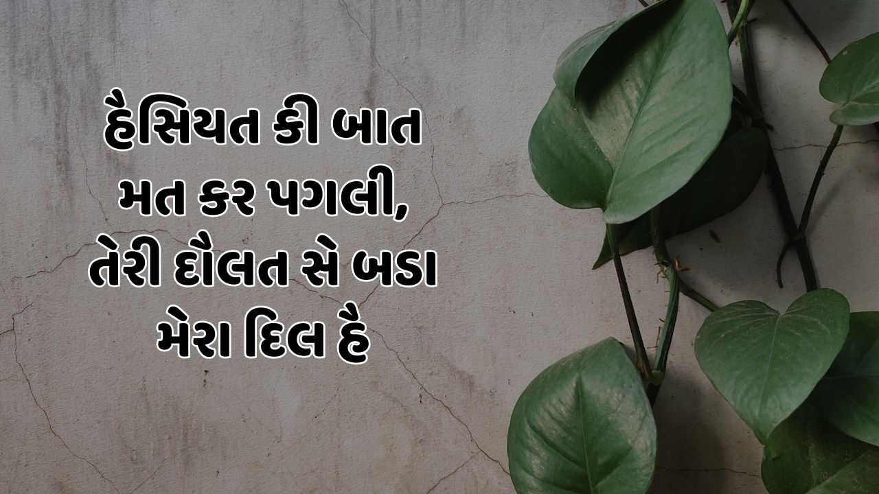 હૈસિયત કી બાત મત કર પગલી, તેરી દૌલત સે બડા મેરા દિલ હૈ 