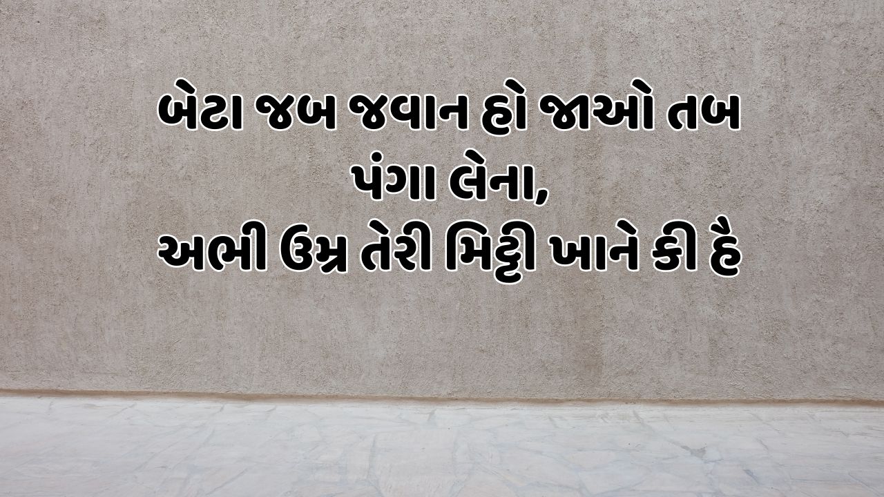 બેટા જબ જવાન હો જાઓ તબ પંગા લેના, અભી ઉમ્ર તેરી મિટ્ટી ખાને કી હૈ