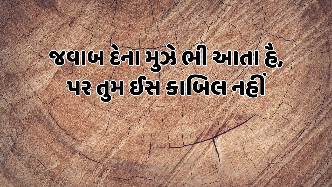 જવાબ દેના મુઝે ભી આતા હૈ, પર તુમ ઈસ કાબિલ નહીં 