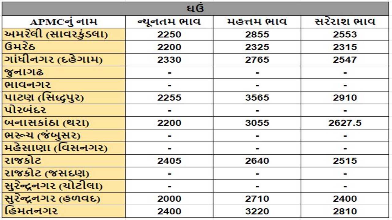 ઘઉંના તા.09-04-2024ના રોજ APMCના ભાવ રૂ.2000 થી 3565 રહ્યા.