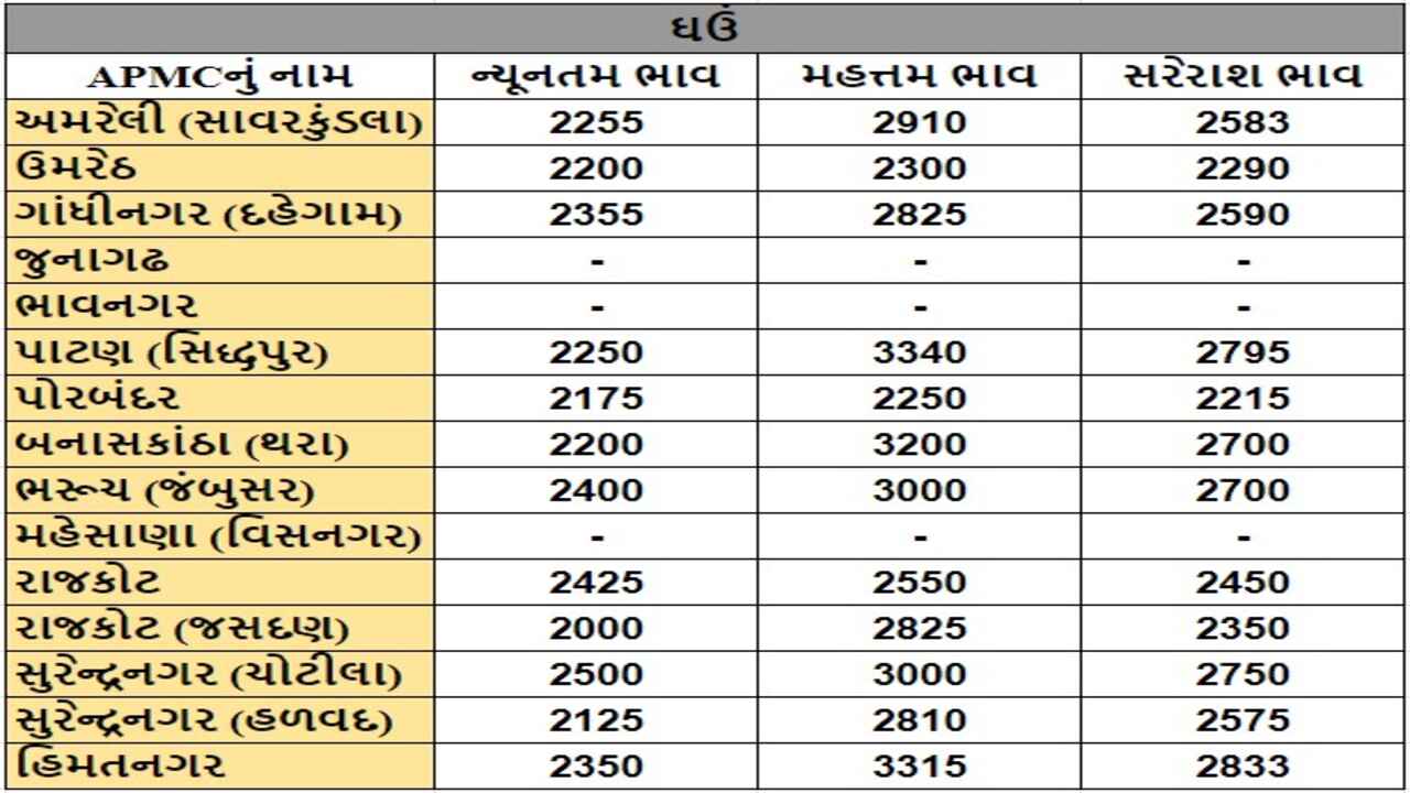 ઘઉંના તા.19-04-2024ના રોજ APMCના ભાવ રૂ.2000 થી 3340 રહ્યા.