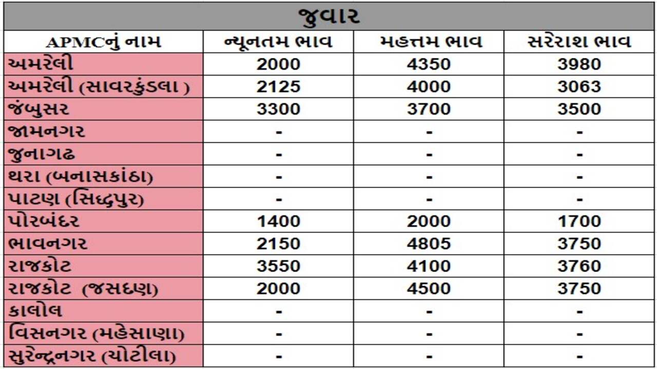 જુવારના તા.19-04-2024ના રોજ APMCના ભાવ રૂ.1400 થી 4805 રહ્યા.