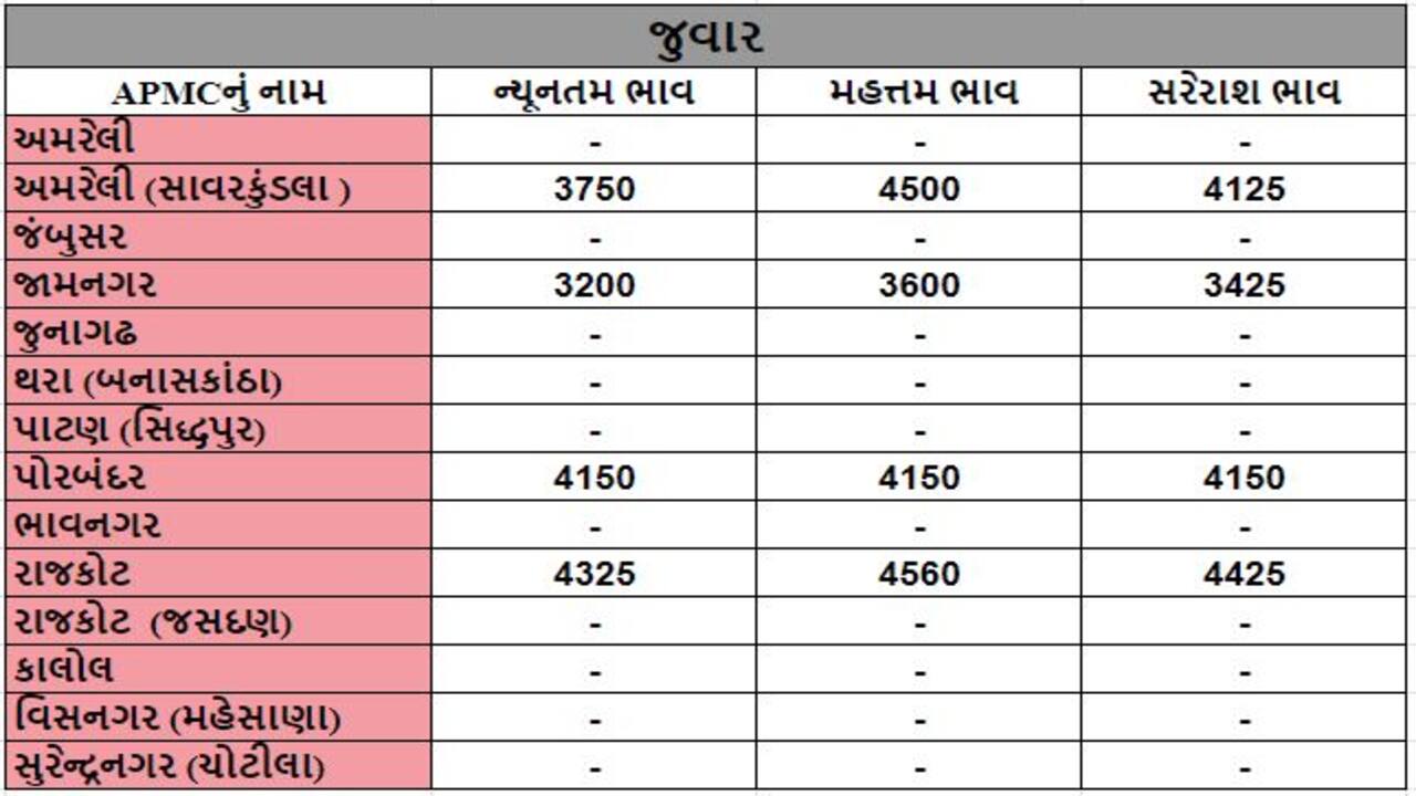 જુવારના તા.03-04-2024ના રોજ APMCના ભાવ રૂ.3200 થી 4560 રહ્યા.