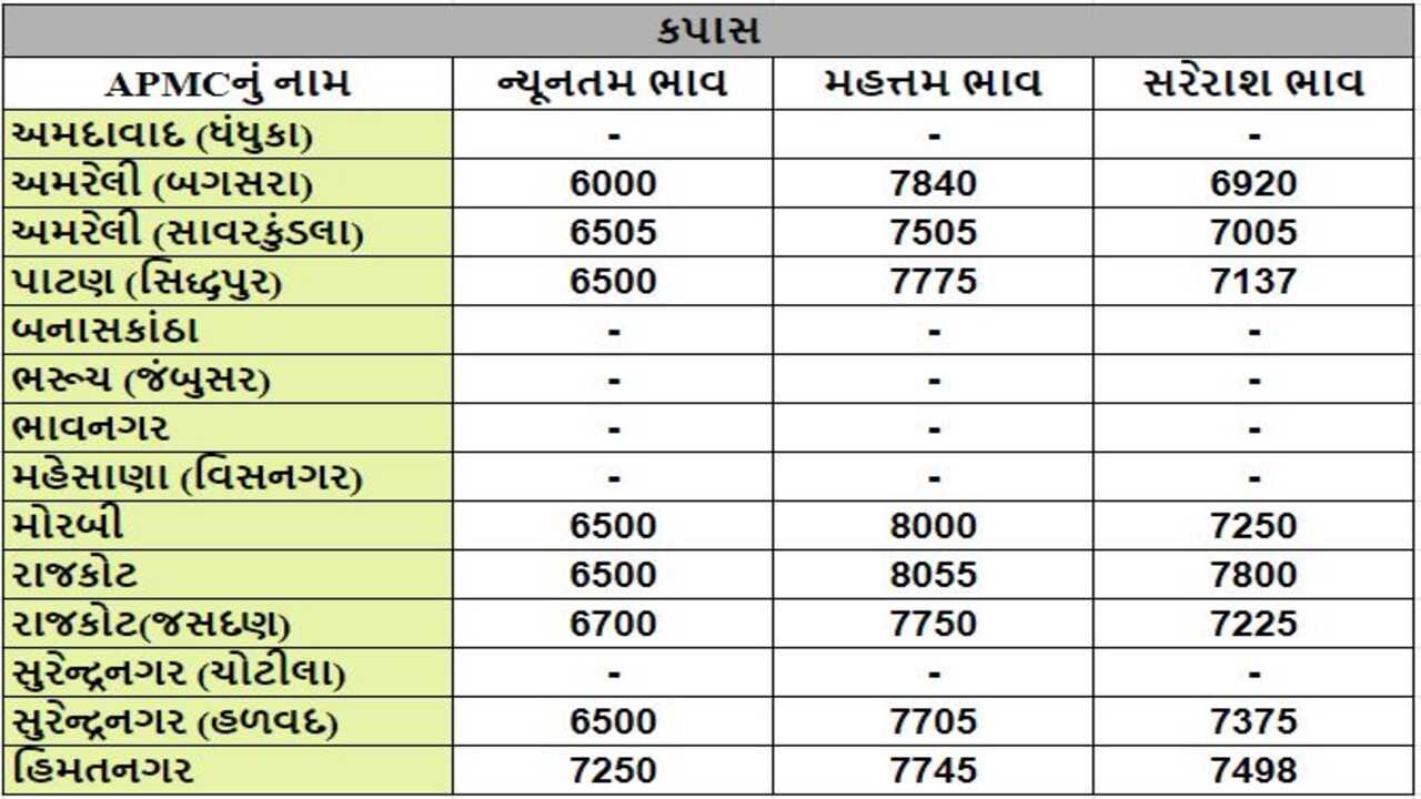 કપાસના તા.09-04-2024ના રોજ APMCના ભાવ રૂ.6000 થી 8055 રહ્યા.