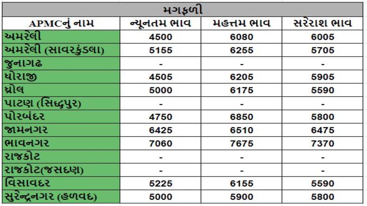 અમરેલીના સાવરકુંડલા APMCમાં જુવારના મહત્તમ ભાવ રૂપિયા 4200 રહ્યા, જાણો જુદા-જુદા પાકના ભાવ