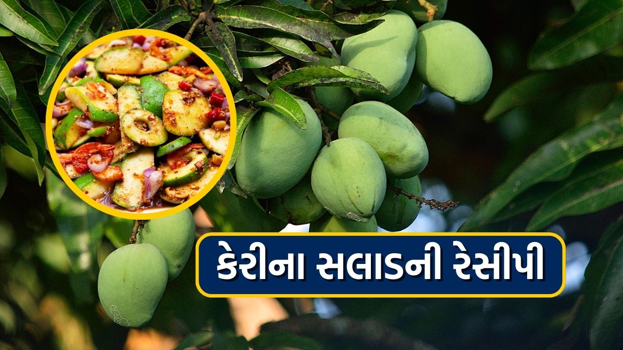 ભર ઉનાળે લોકો ફુદીનો અને કાચી કેરીની મજા માણતા હોય છે. મહત્વનું છે કે, કેરીની ચટણીનો સ્વાદ ખૂબ જ પસંદ આવે છે. ફુદીનાની ઠંડક અને પાચન શક્તિ પેટ માટે સારી માનવામાં આવે છે, ત્યારે કાચી કેરીનો સ્વાદ એવો છે કે તેને ખાધા વગર કોઈ રહી શકતું નથી. 