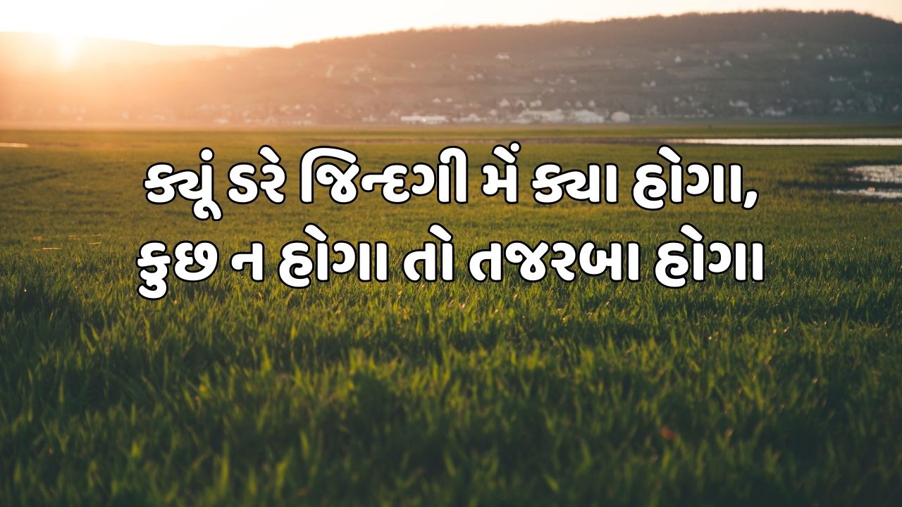 ક્યૂં ડરે જિન્દગી મેં ક્યા હોગા, કુછ ન હોગા તો તજરબા હોગા