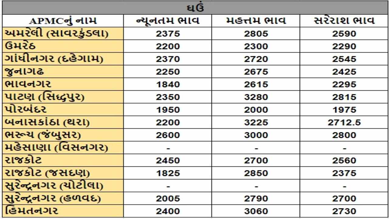 ઘઉંના તા.03-05-2024ના રોજ APMCના ભાવ રૂ.1840 થી 3225 રહ્યા.