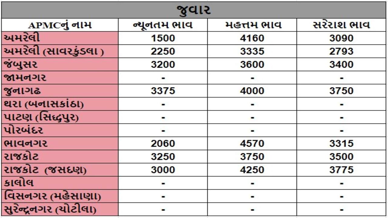 જુવારના તા.01-05-2024ના રોજ APMCના ભાવ રૂ.1500 થી 4570 રહ્યા.