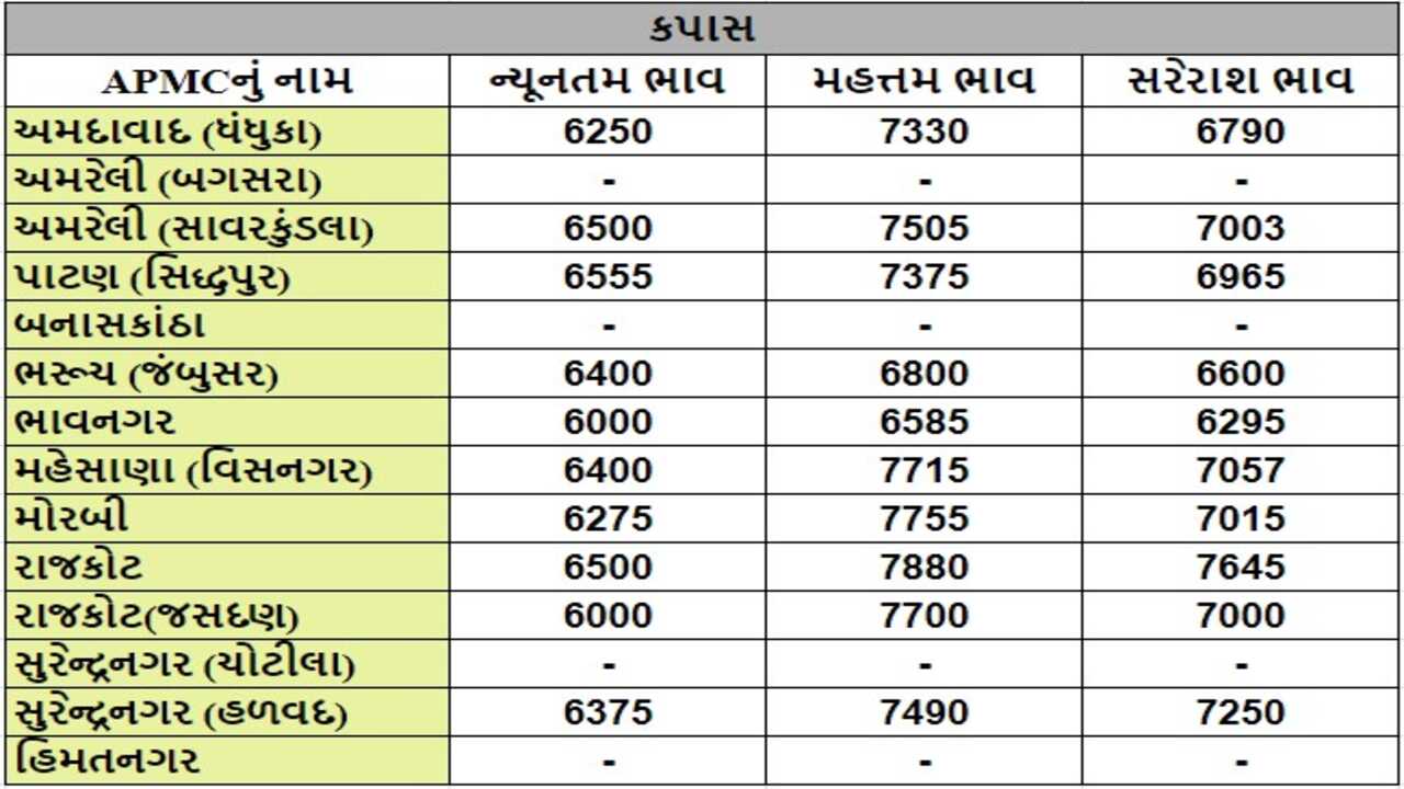 કપાસના તા.30-04-2024ના રોજ APMCના ભાવ રૂ.6000 થી 7880 રહ્યા.