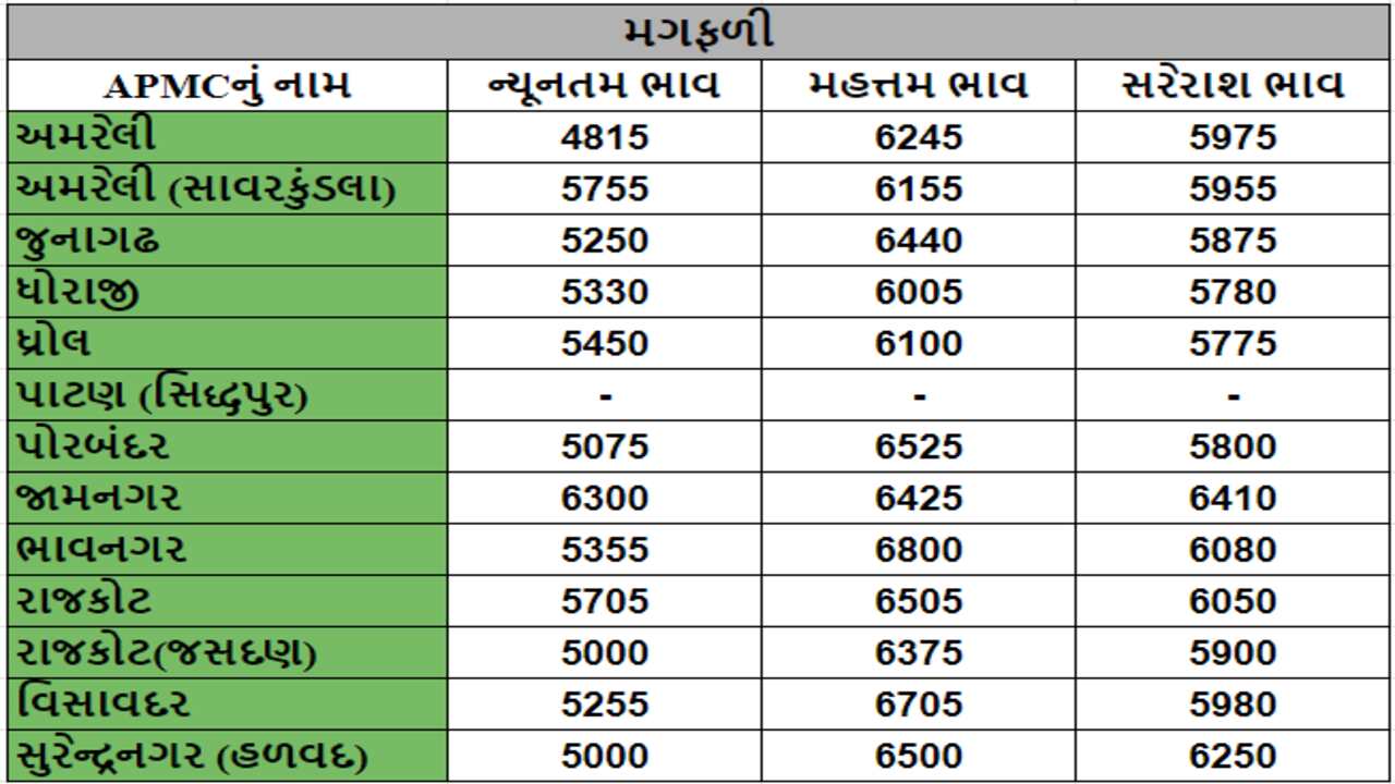 મગફળીના તા.13-05-2024ના રોજ APMCના ભાવ રૂ.4815 થી 6800 રહ્યા.