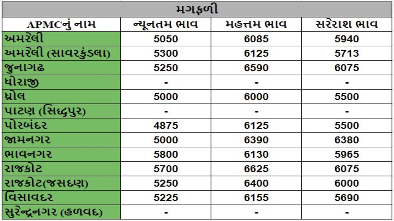 અમરેલીના સાવરકુંડલા APMCમાં બાજરાના મહત્તમ ભાવ રૂપિયા 2620 રહ્યા, જાણો જુદા-જુદા પાકના ભાવ