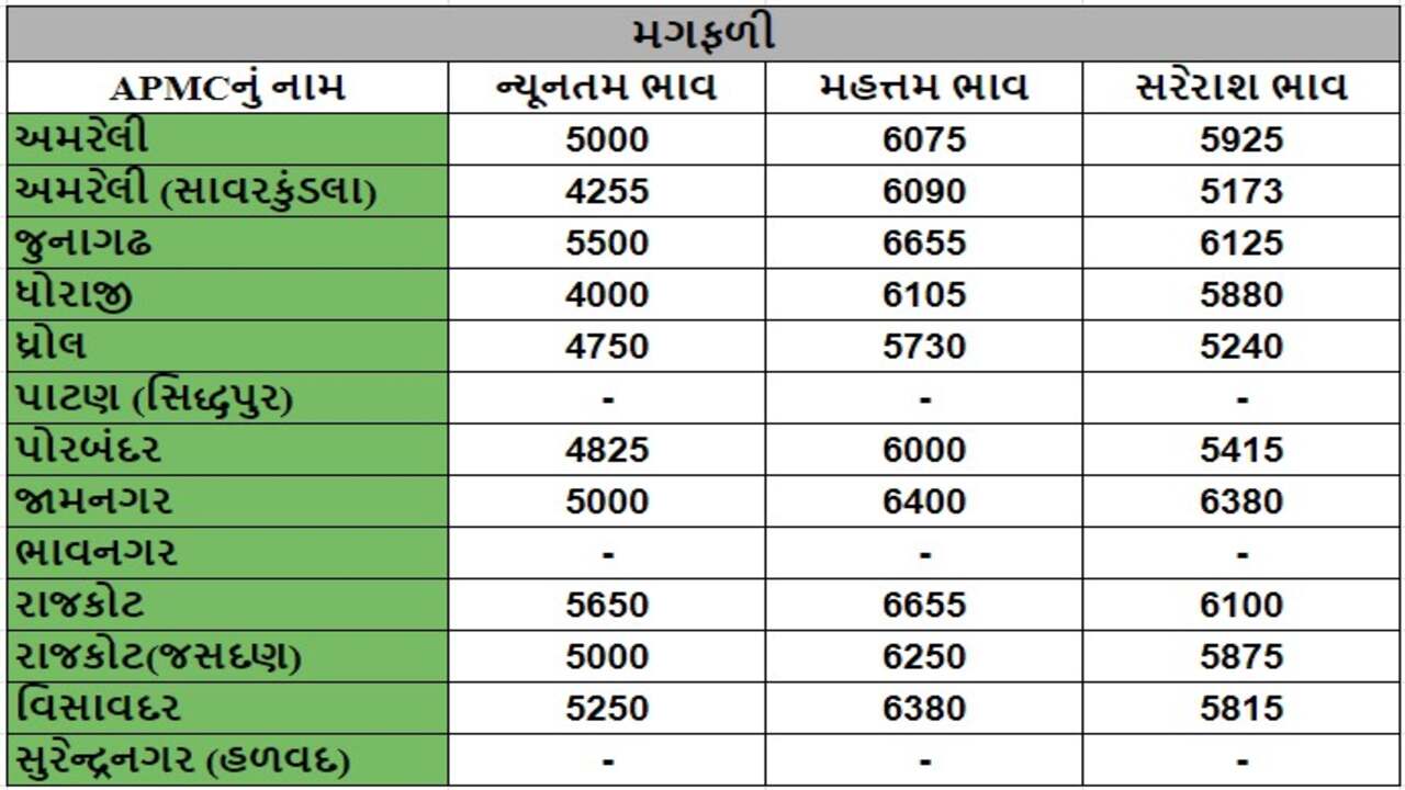 મગફળીના તા.02-05-2024ના રોજ APMCના ભાવ રૂ.4000 થી 6655 રહ્યા.