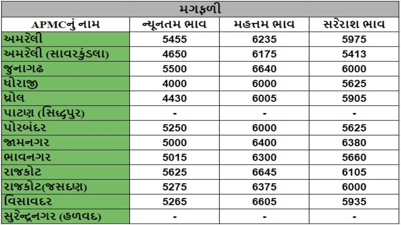 મગફળીના તા.06-05-2024ના રોજ APMCના ભાવ રૂ.4000 થી 6640 રહ્યા.